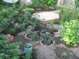 Двор Гостевой Дом Анюта