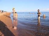 Пляж гостевого дома Мегаполис
