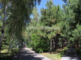 Территория санатория Аврора на Иссык-Куле