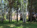 Территория санатория Кыргызское взморье в селе Бостери