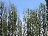 Территория пансионата Солнечный берег