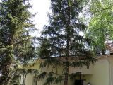 Территория пансионата Солнечный берег