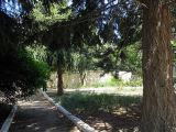 Территория пансионата Солнечный берег