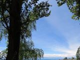 Территория пансионата Солнечный берег