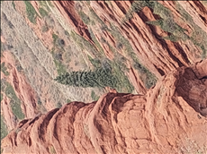 Трансфер, экскурсии